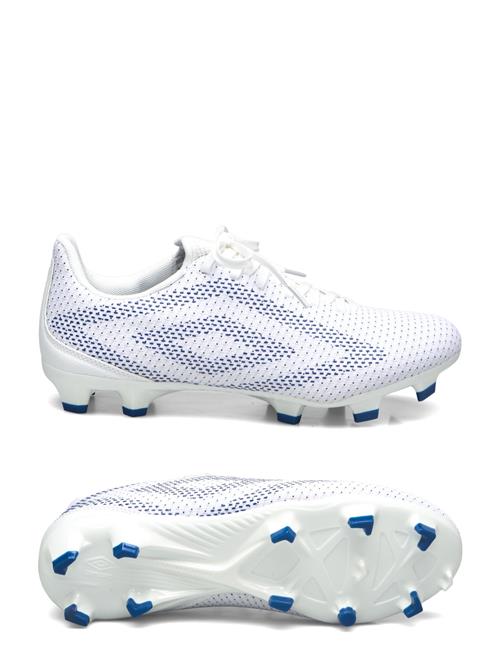 Umbro | Velocita Matrix Club Fg | 42