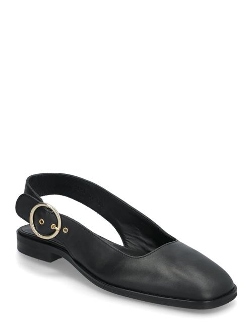 ANGULUS | Ballerina | 37