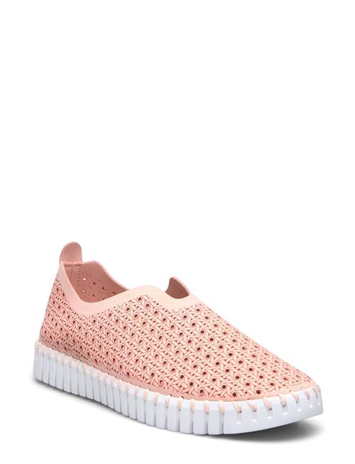 Ilse Jacobsen | Tulip Braided | 39