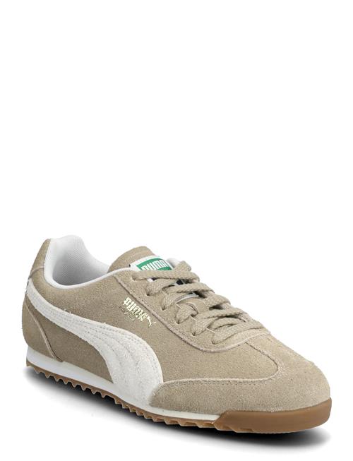 PUMA | Arizona Sd | 37
