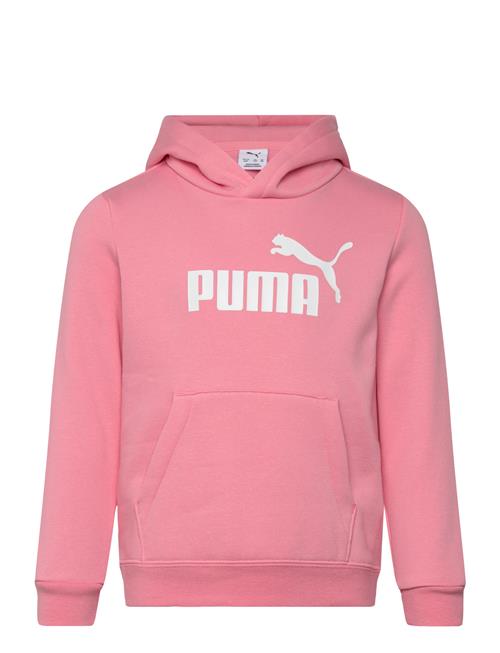 PUMA | Ess No. 1 Logo Hoodie Fl Ps | 110