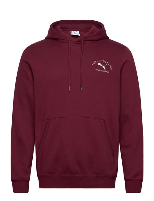 PUMA | Puma Class Graphic Hoodie Fl | M