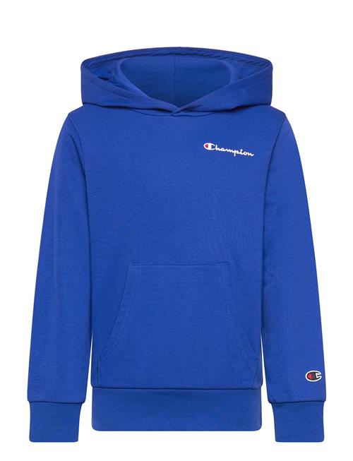 Champion | Hooded Sweatshirt | 174-179