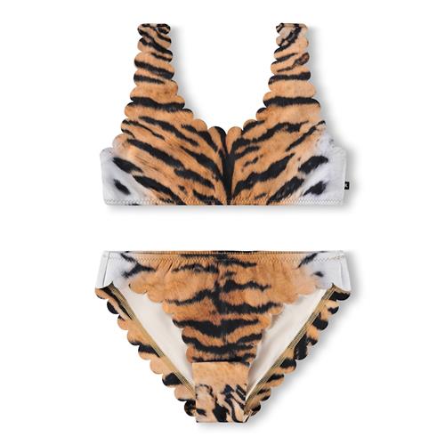 Molo Nolina Bikini Wild Tiger  Wild Tiger 98/104 cm  Brun  98/104 cm  kvinde