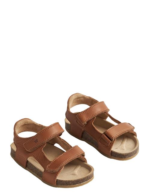 Wheat | Sandal Corey | 32