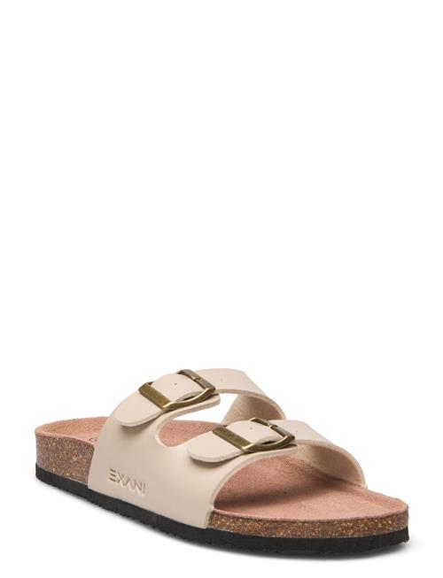 Exani | Spectra W | 38