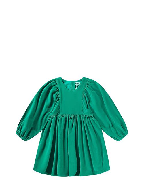 Molo | Caiosi | 146-152