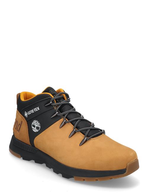 Timberland | Mid Lace Up Waterproof Sneaker | 43