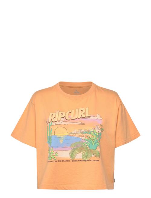 Rip Curl | La Paloma Crop Tee | M