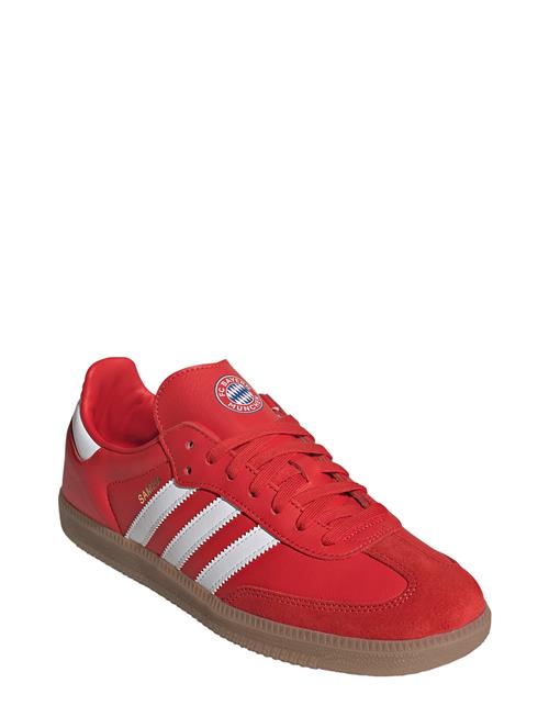 adidas Performance | Samba Licensed | 42 2/3