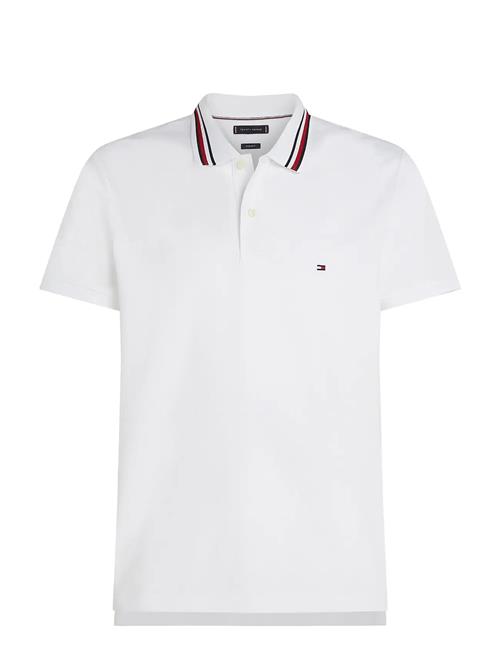 Tommy Hilfiger | Rwb Collar Reg Polo | L