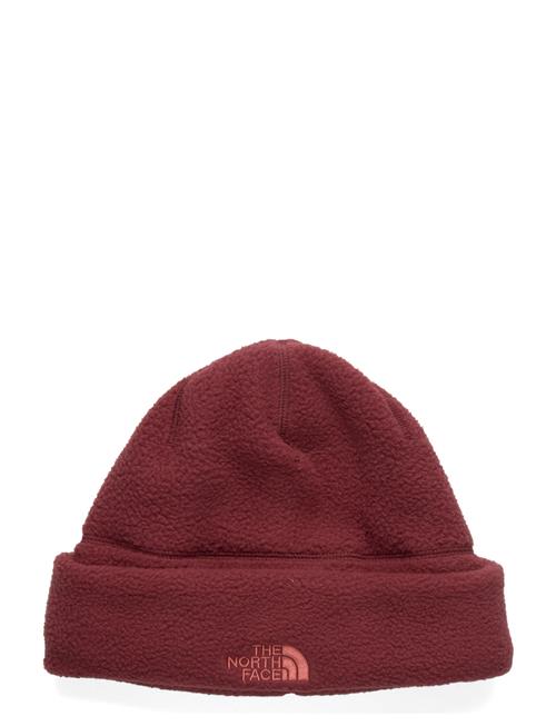 The North Face | Whimzy Powder Beanie | L/XL