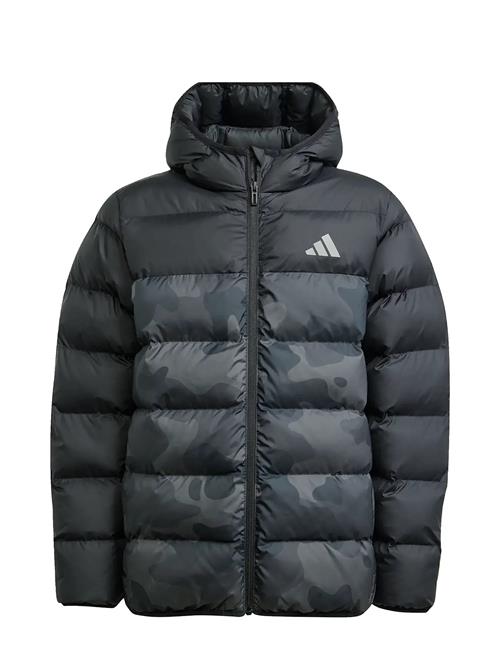 adidas Sportswear | J Sd Aop Jkt | 176