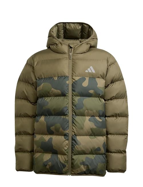 adidas Sportswear | J Sd Aop Jkt | 176