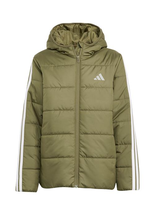 adidas Sportswear | J Ess 3S Jkt | 176
