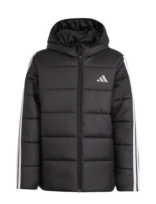 adidas Sportswear | J Ess 3S Jkt | 164