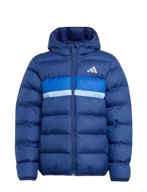 adidas Sportswear | J Sd Jkt | 140
