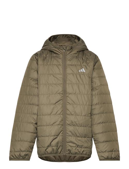 adidas Sportswear | J Ess L Pad Jkt | 164