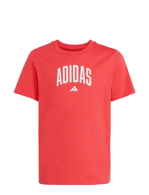 adidas Sportswear | J Colleg T | 164