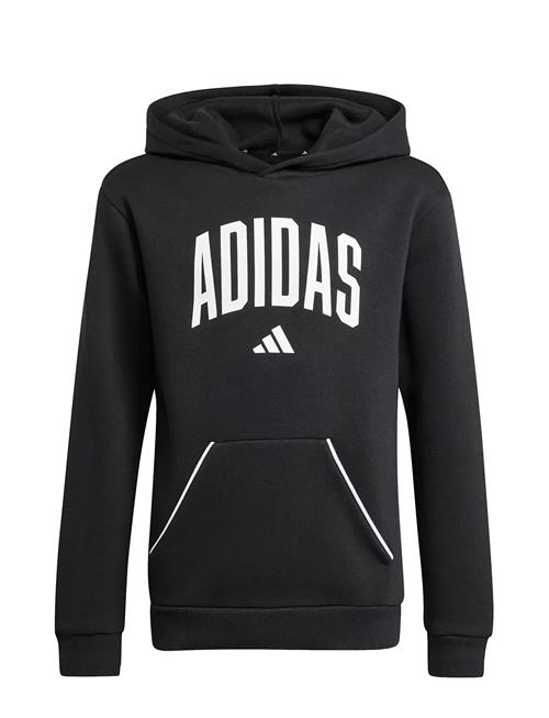 adidas Sportswear | J Clgt Oh Fl Hd | 176