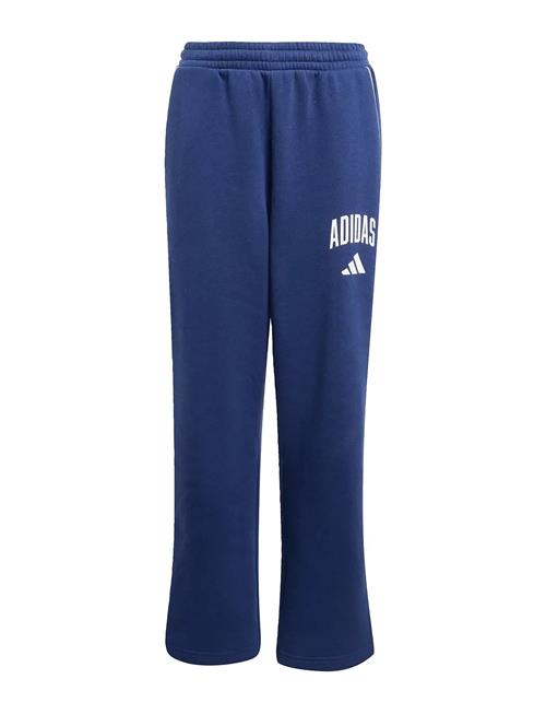 adidas Sportswear | J Clgt Fl Pnt | 164