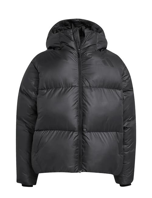 adidas Sportswear | J Z.n.e. Jkt | 164