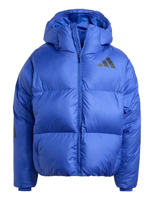 adidas Sportswear | J Z.n.e. Jkt | 176