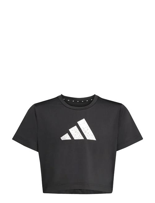 adidas Sportswear | Jg Tr-Es Gl Tee | 170