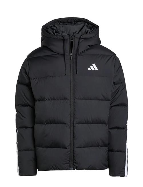 adidas Sportswear | Ess 3S P D Hd J | M