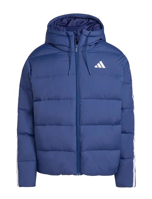 adidas Sportswear | Ess 3S P D Hd J | L