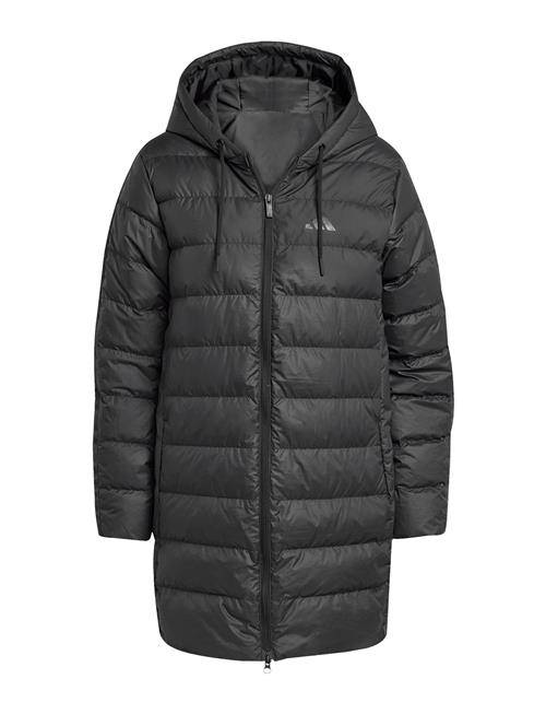 adidas Sportswear | W Ess 3S L D Hp | XL