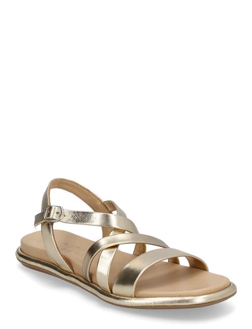 Wonders | Izora | 40