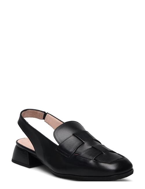 Wonders | Renata | 36