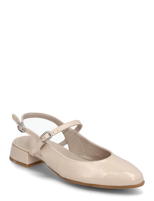 Wonders | Oriana | 41