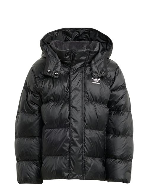 adidas Originals | Down Jacket | 116