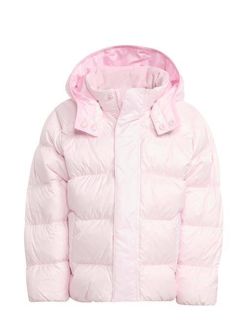 adidas Originals | Down Jacket | 104