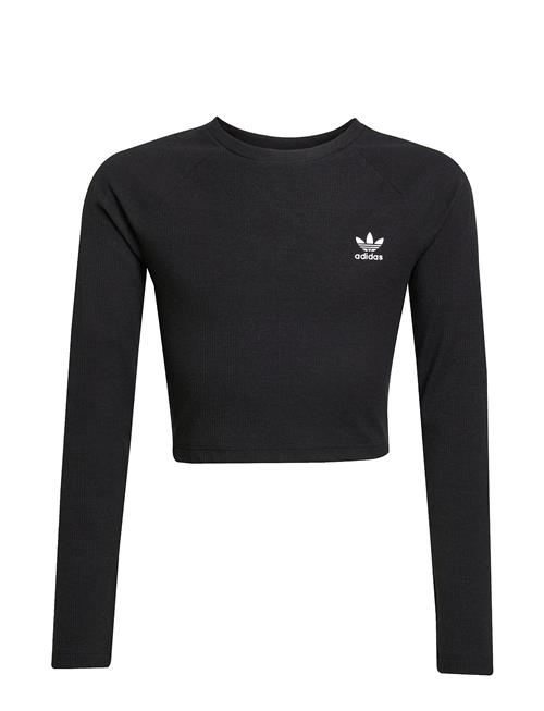 adidas Originals | Rib C Ls Tee | 158
