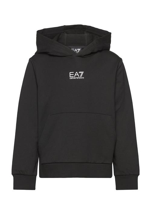 EA7 | Sweatshirt | 116