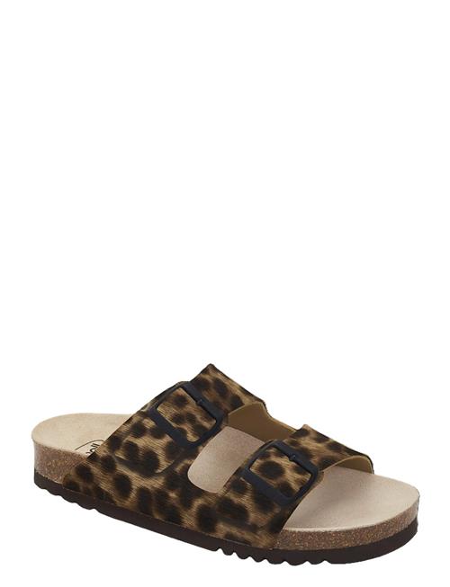 Scholl | Sl Josephine Leather Yena | 42