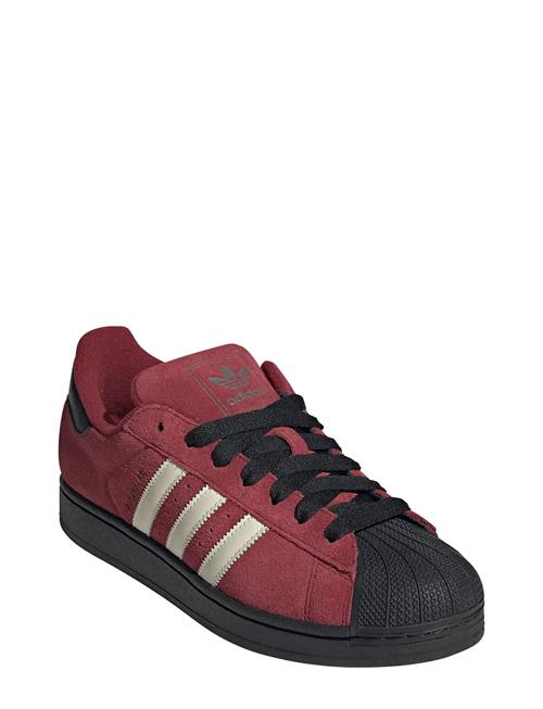 adidas Originals | Superstar Ii | 36