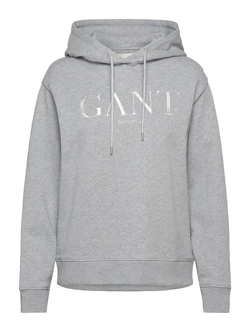 GANT | Tonal Graphic Hoodie | M