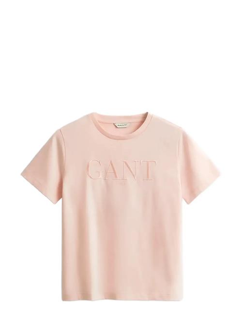 GANT | Reg Tonal Graphic Ss T-Shirt | L