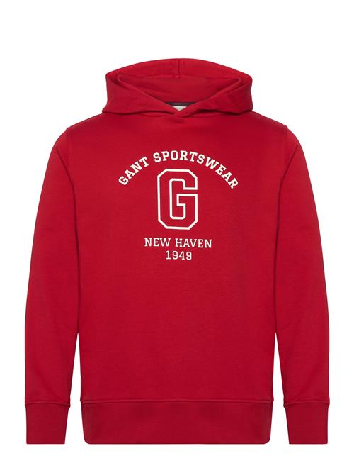 GANT | Graphic Sweat Hoodie | L