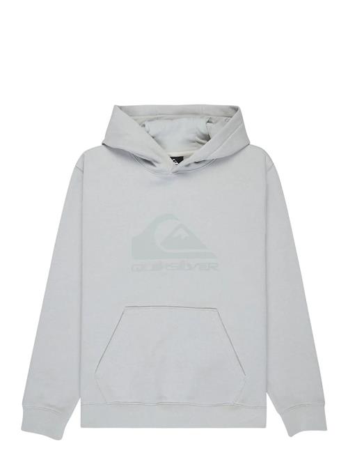 Quiksilver | Comp Logo Hoodie Youth | 176