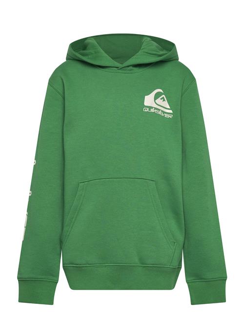 Quiksilver | Omni Logo Hoodie Youth | 176