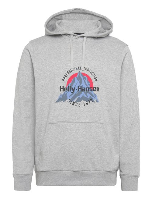 Helly Hansen | Core Graphic Hoodie | XL