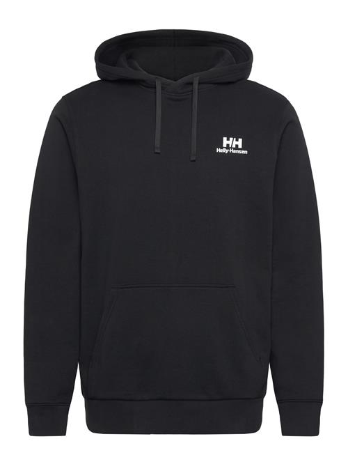 Helly Hansen | Core Graphic Hoodie | M