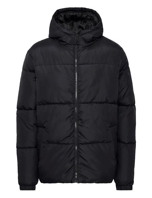 Blend | Bhelwin Hood Jacket | L