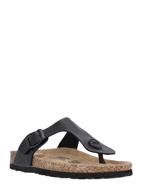 Cruz | Barns W Cork Sandal | 39