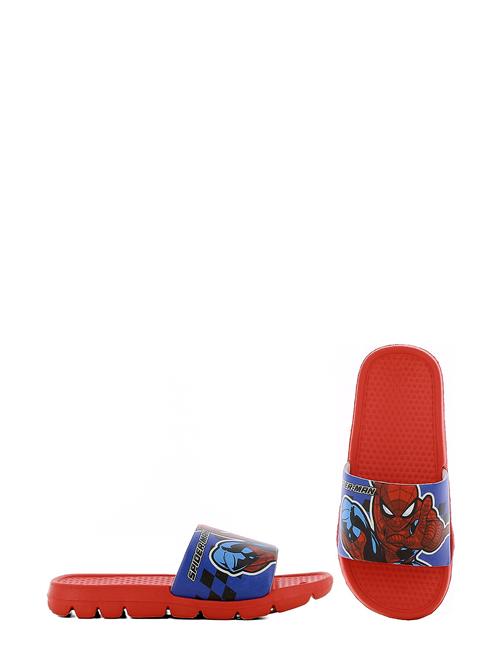 Leomil | Spiderman Slippers | 31